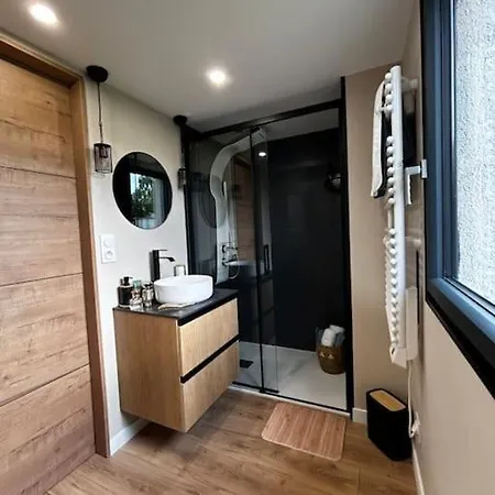 L'arbre De Soie Futuroscope Acacia