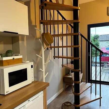 L'arbre De Soie Futuroscope Acacia *