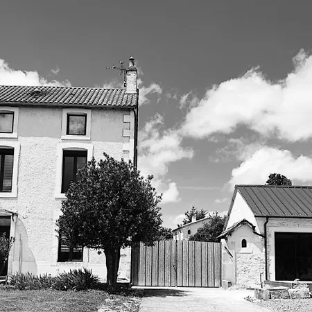 L'arbre De Soie Futuroscope Acacia * Vouillé