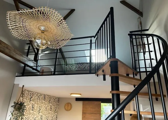 L'arbre De Soie Futuroscope Acacia * Vouillé