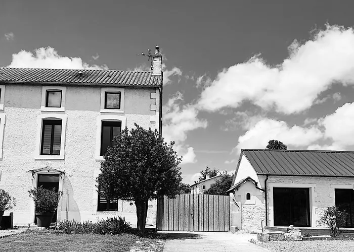 L'arbre De Soie Futuroscope Acacia * Vouillé